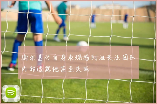 谢尔基对自身表现感到沮丧法国队内部透露他甚至失眠